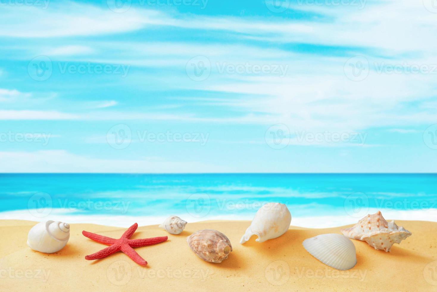 Shells and sea star on beach sand with clean sea and sky in background. Tropical travel composition with copy space photo