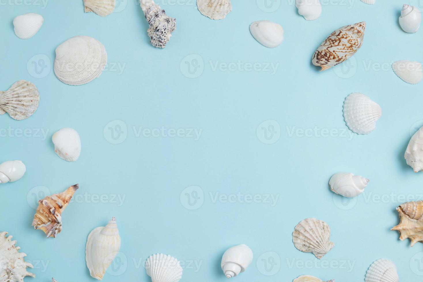 White shells on sky blue surface with copy space in the middle. Summer, top view, flat lay composition photo