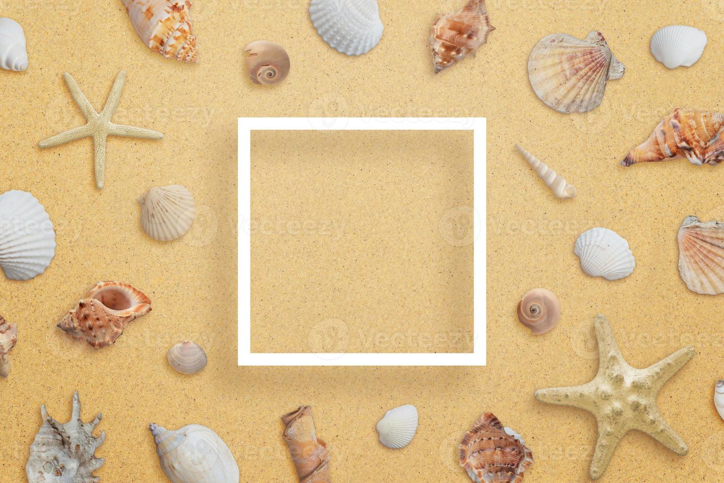 Square white paper frame on beach surrounded by sea shells. Creative composition with copy space in the middle photo