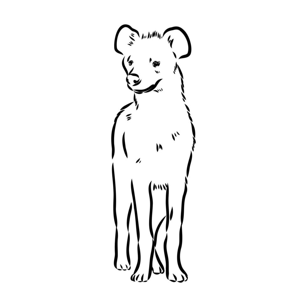 hyena vector sketch