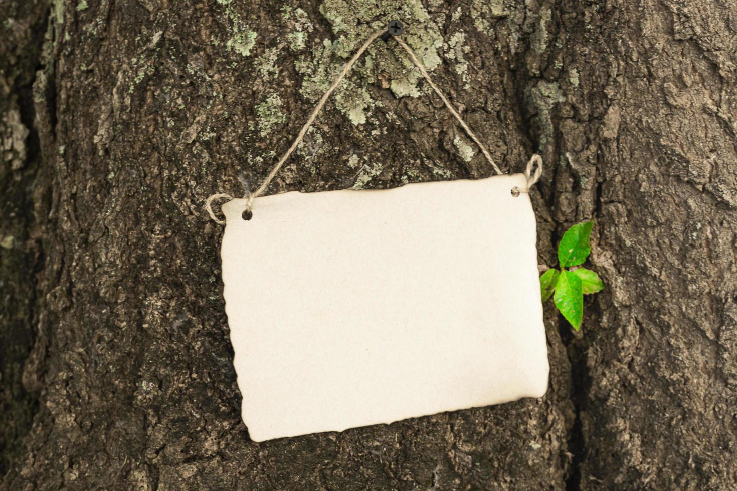 Paper hanging on tree trunk background. Copy space. Nature background photo