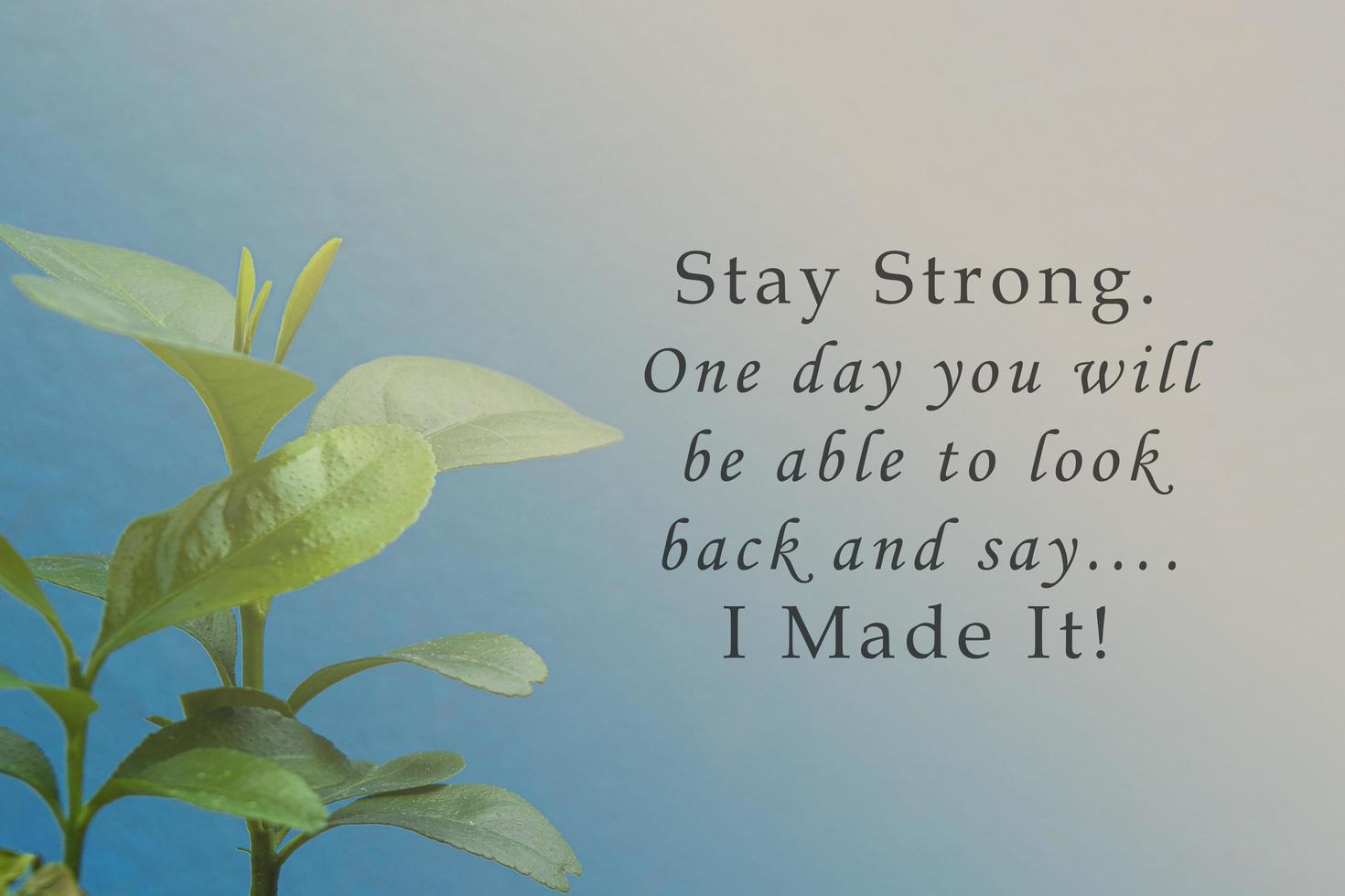 Motivational and inspirational quote on blurred wooden background of green plant photo