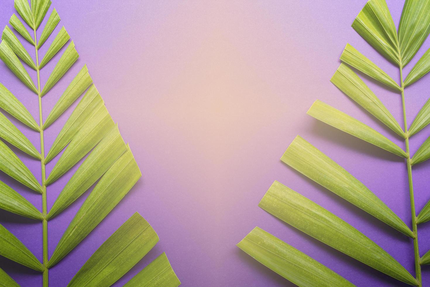 Palm leaves on purple background with light shape of cross. Lent season concept. photo