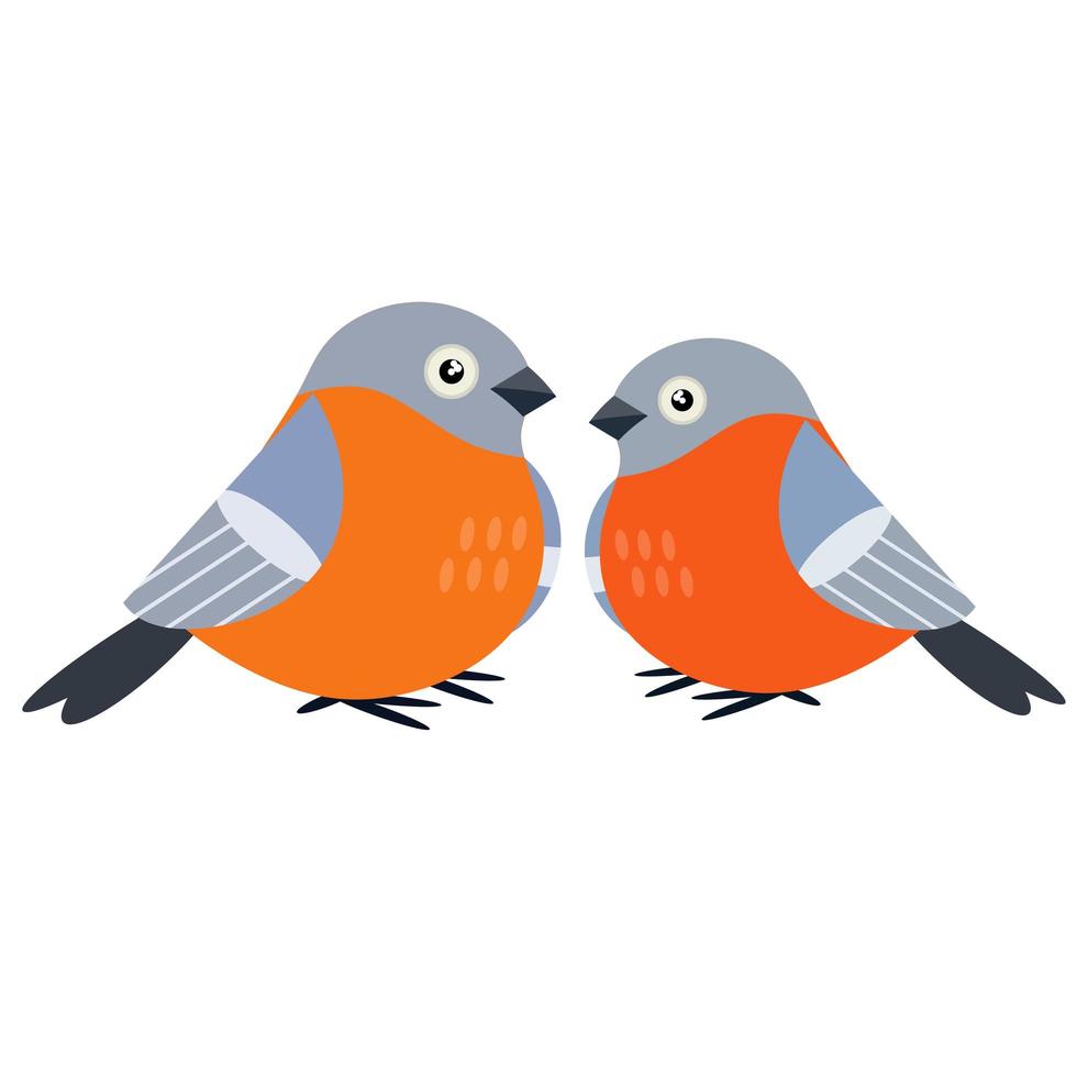 Two Bullfinches. A group of cute forest animals. Couple of bird vector