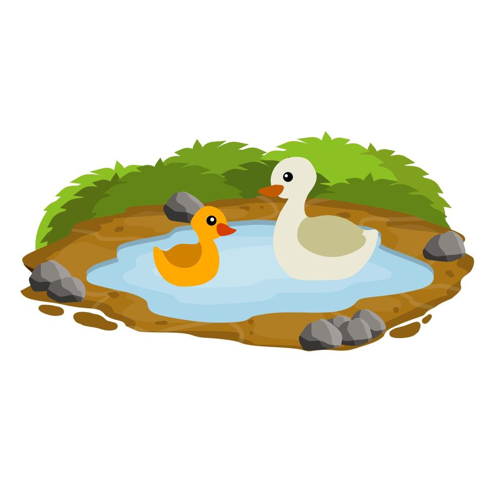 Ducks in the pond. Chicken swims in lake. Animal in wild and forest. vector