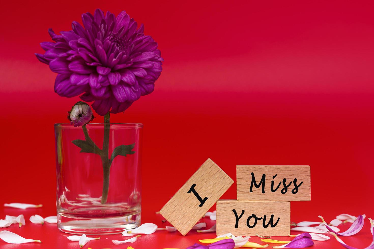 Text on wooden cube and with flower on red background - I Miss You. photo