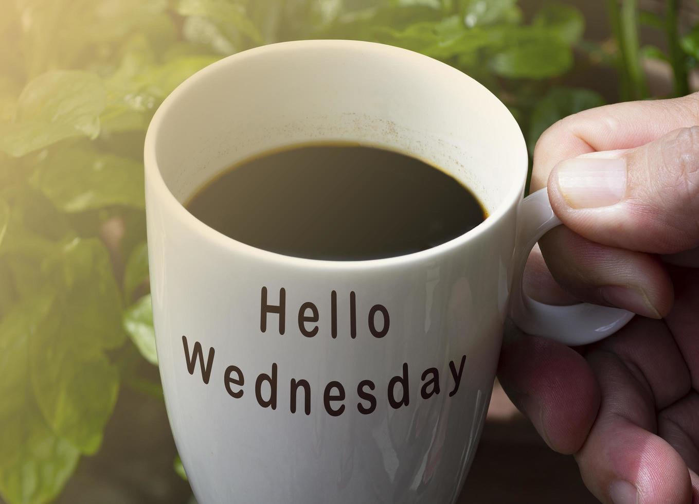 Hello wednesday text on white coffee cup with blurred green plant background photo