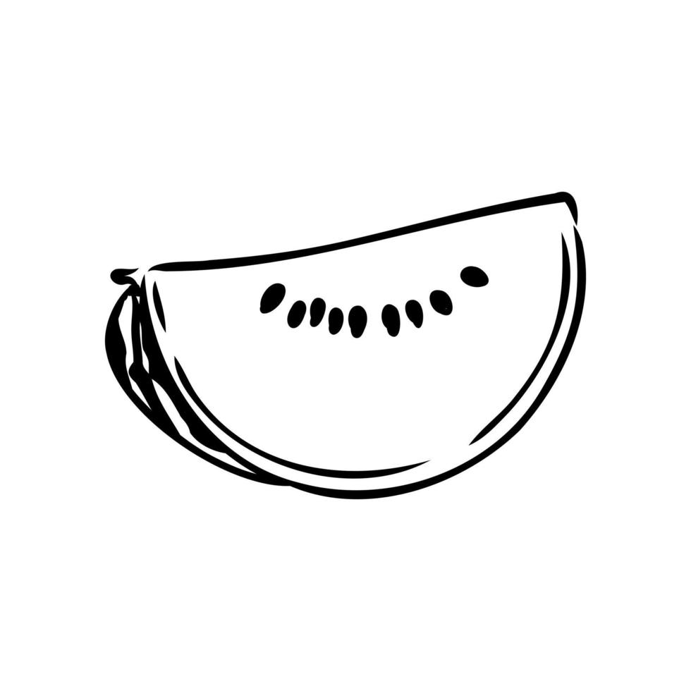 watermelon vector sketch