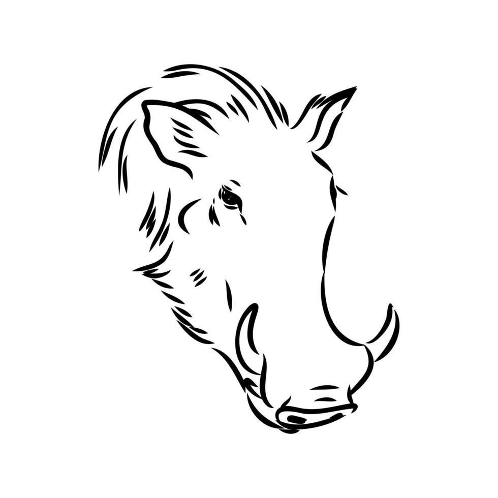 warthog vector sketch