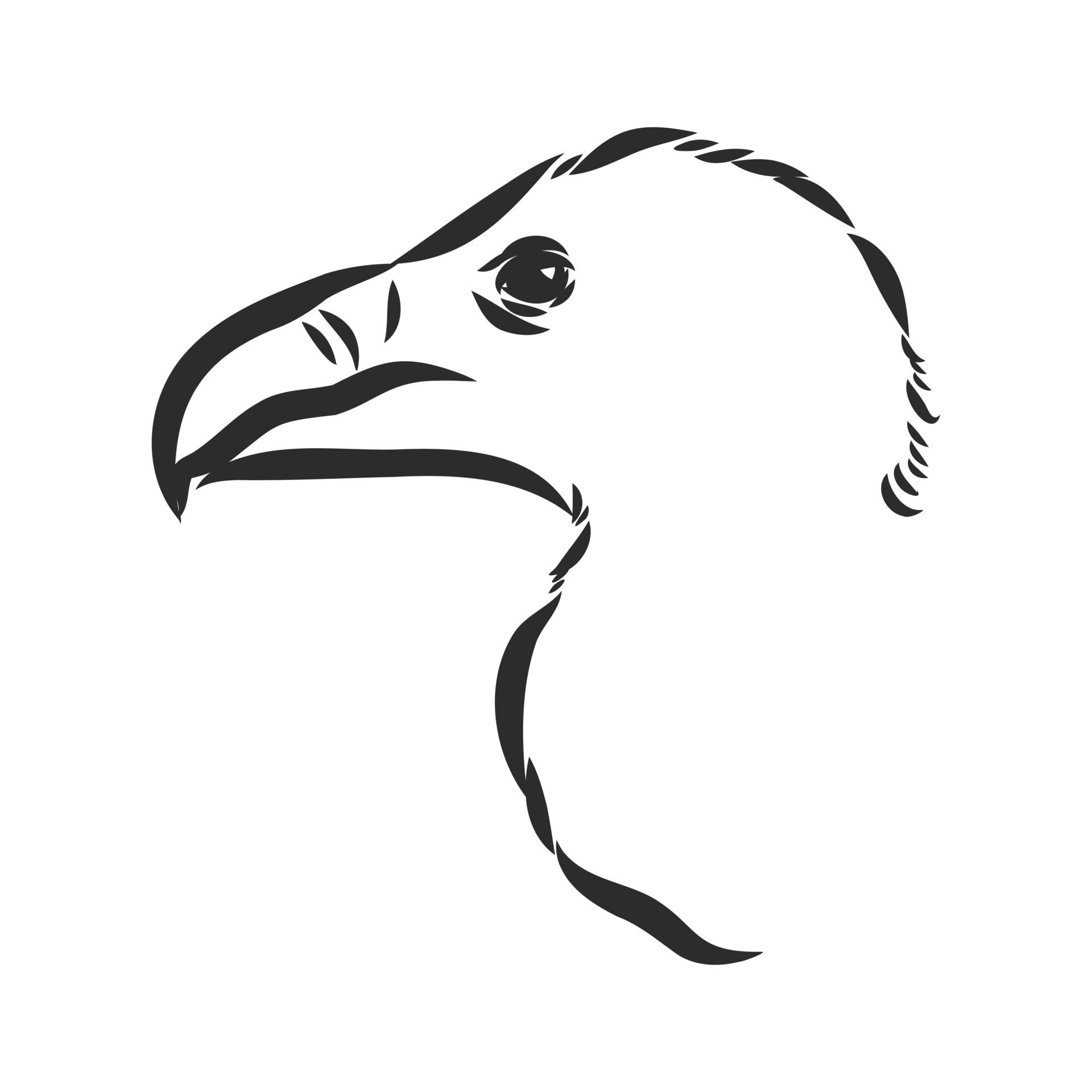 Buy Vulture Drawing Original Online in India  Etsy