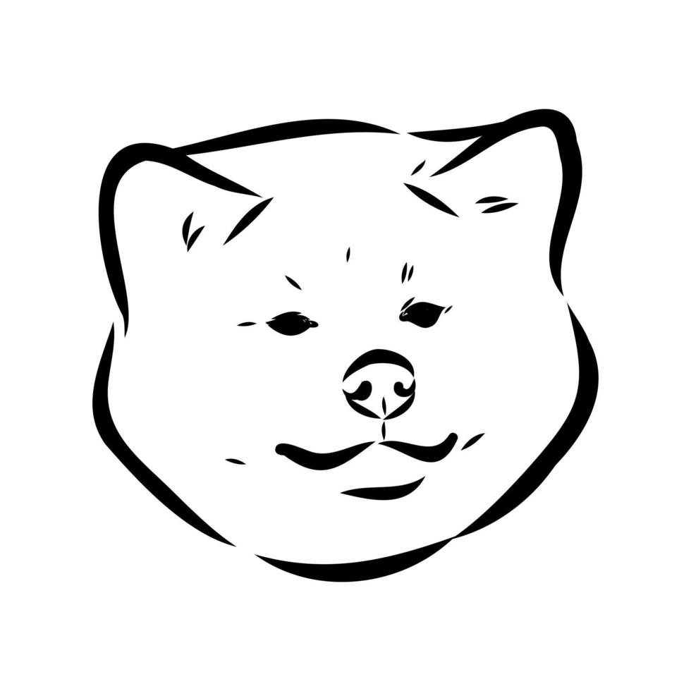 akita inu dog vector sketch