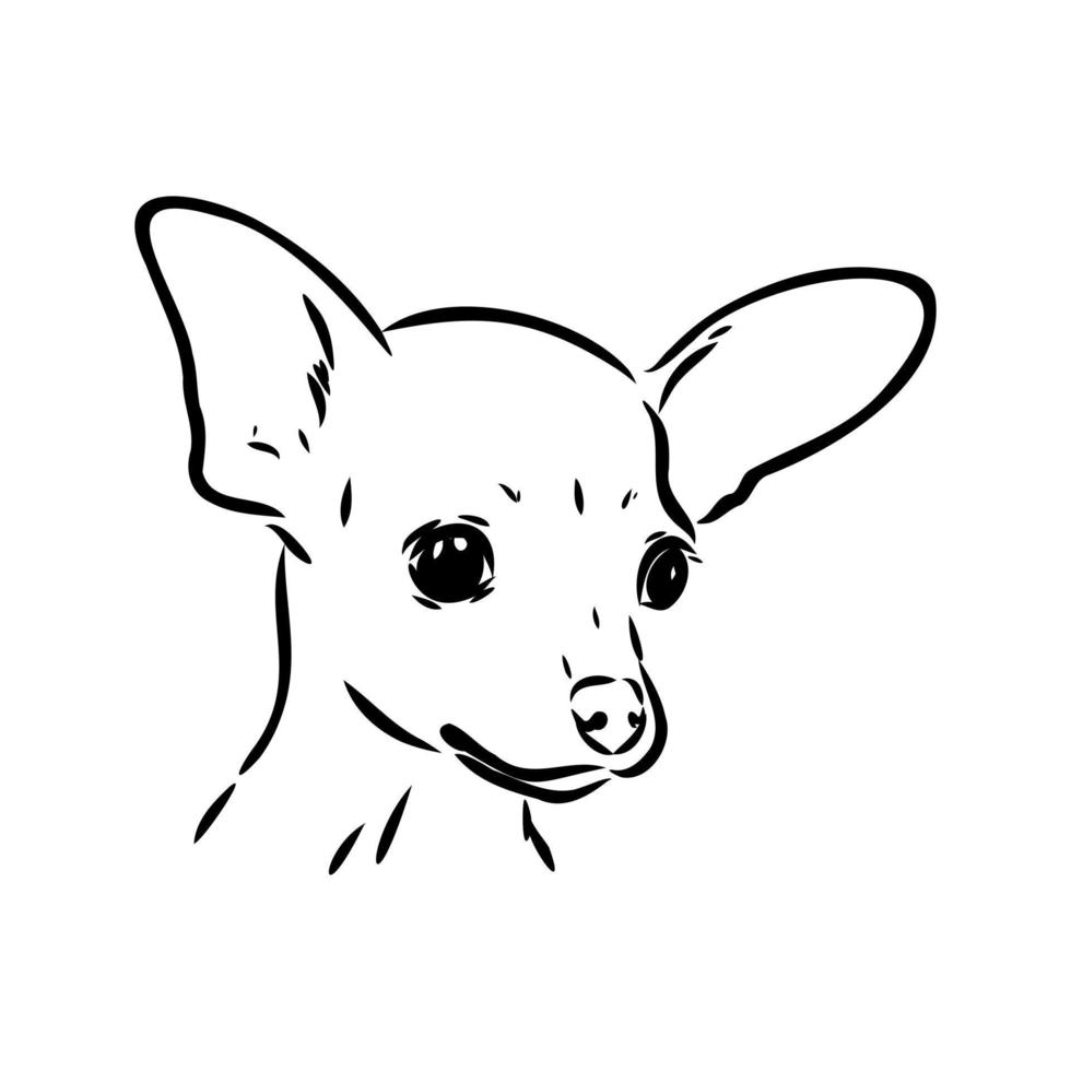 toy terrier vector sketch