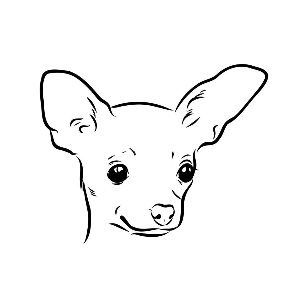 toy terrier vector sketch