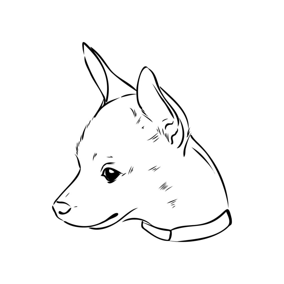 toy terrier vector sketch