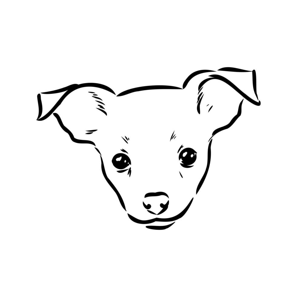 toy terrier vector sketch