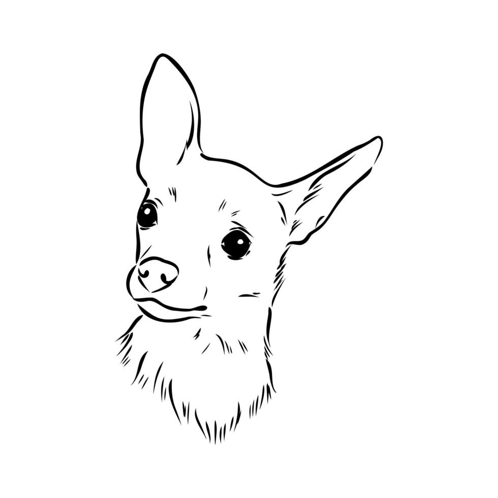 toy terrier vector sketch