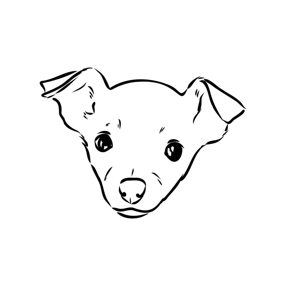 toy terrier vector sketch