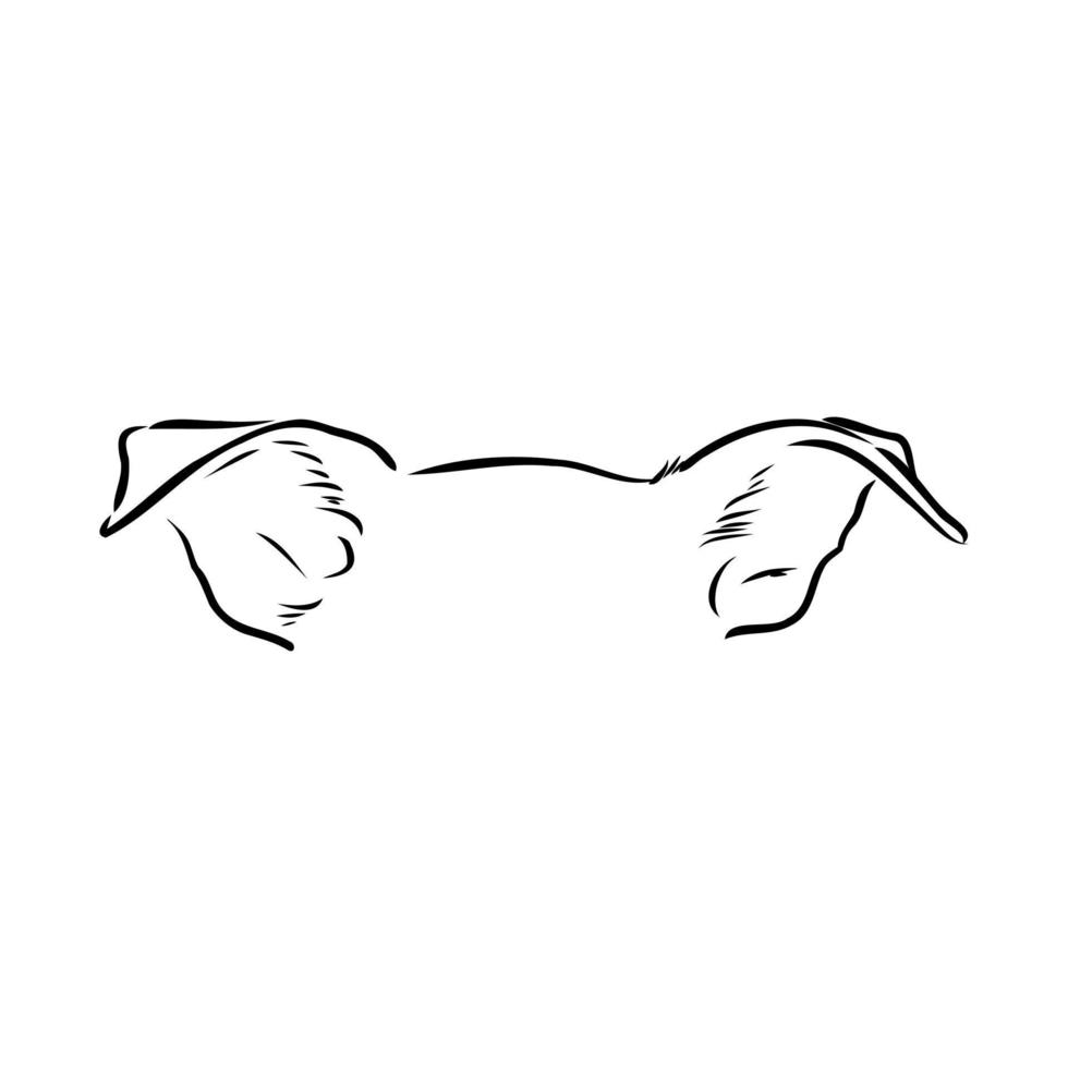 dibujo vectorial de orejas de perro vector