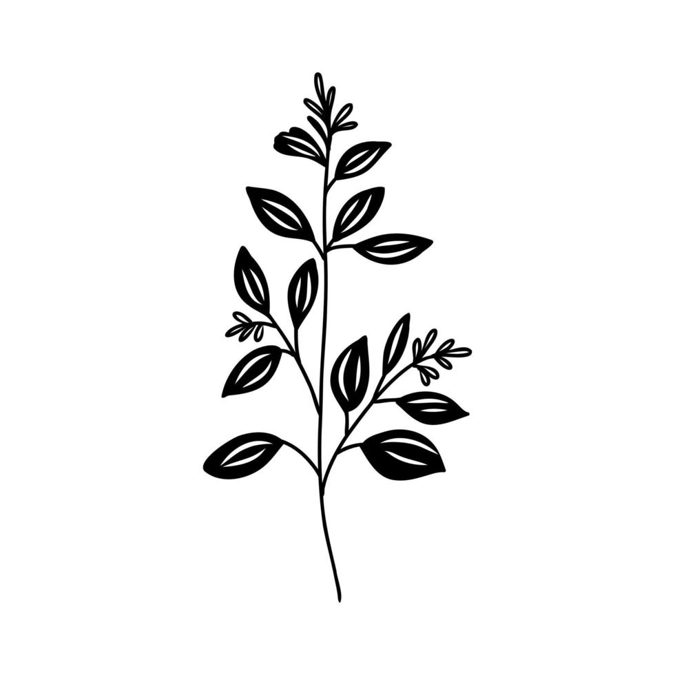 decorative branch vector sketch