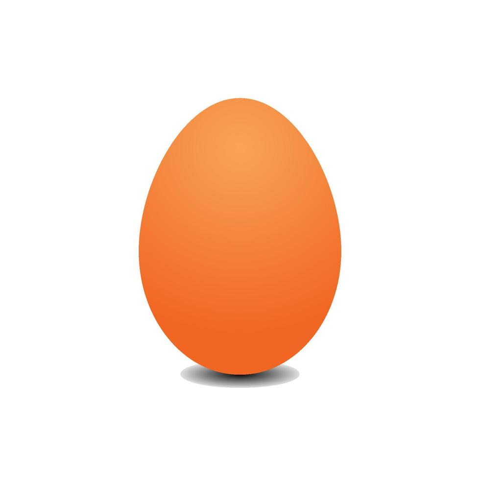 Big realistic chicken egg with shadow on white background - Vector illustration