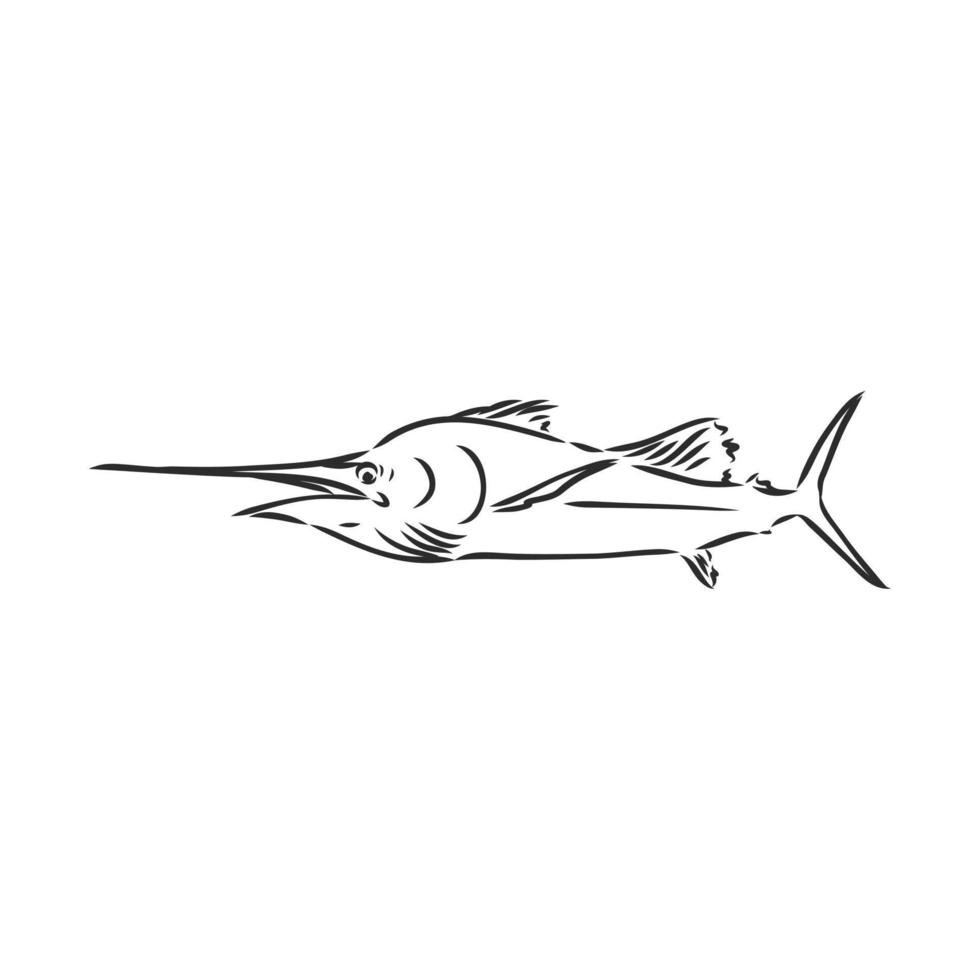 bosquejo del vector de marlin