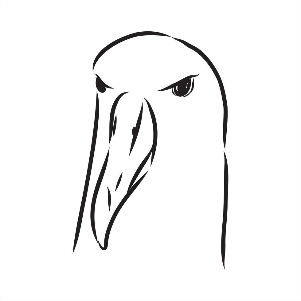 albatross vector sketch