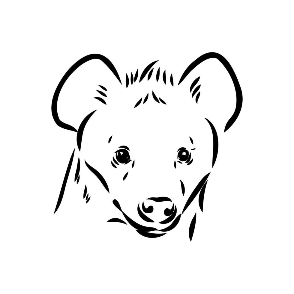 hyena vector sketch