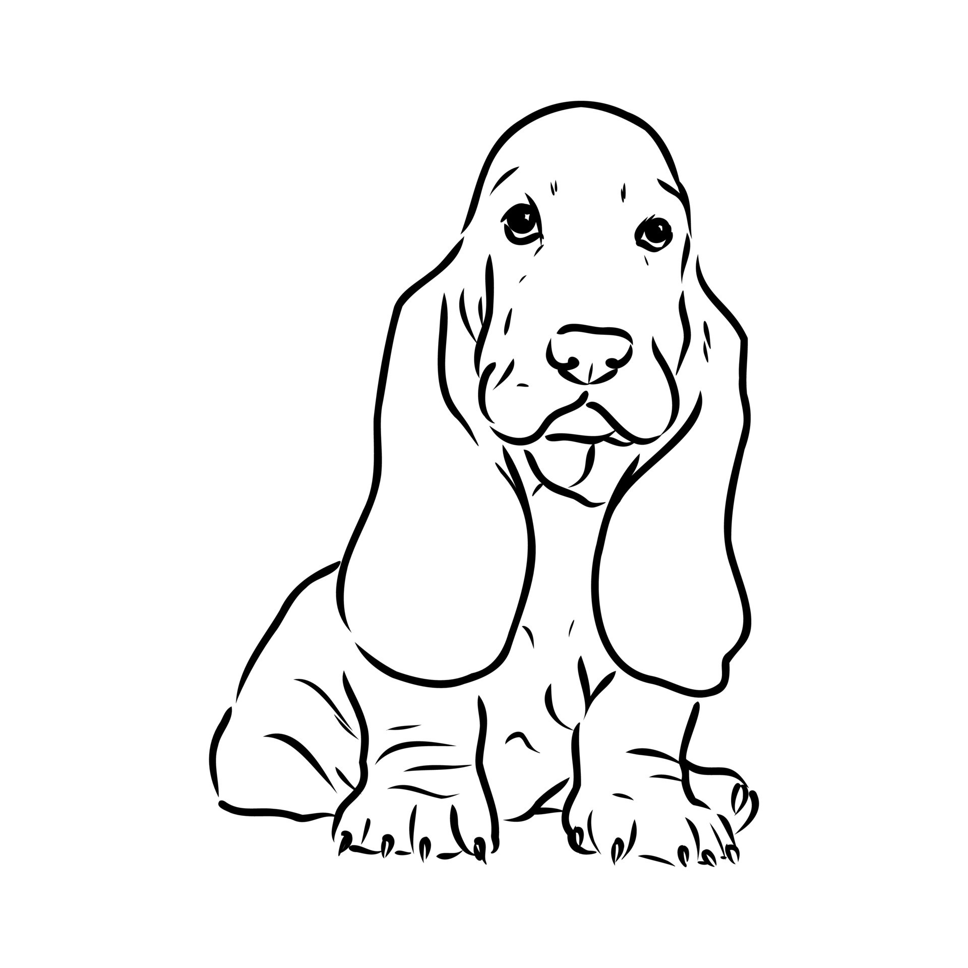 Premium Vector  Decorative contour portrait of standing in profile basset  hound vector isolated illustration