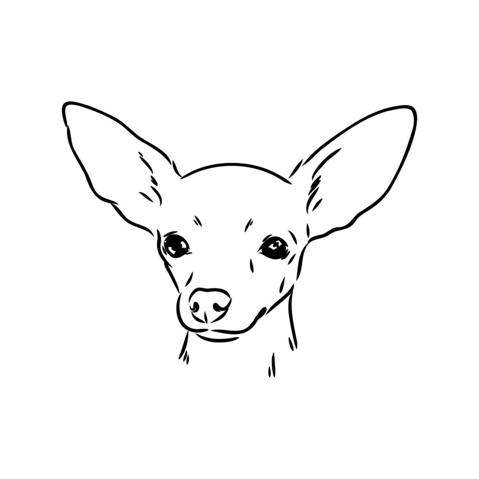 toy terrier vector sketch