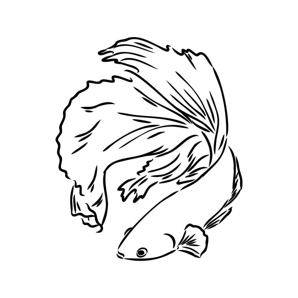 dibujo vectorial de peces de acuario vector