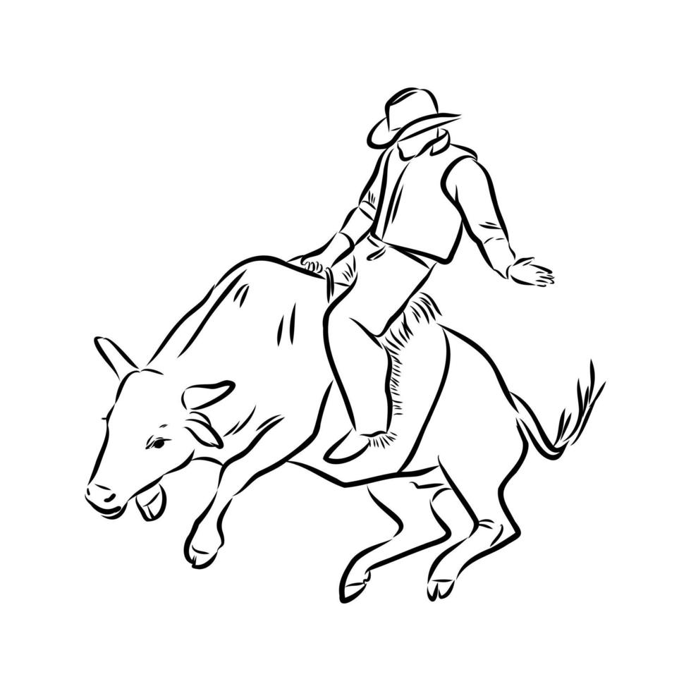 rodeo vector sketch