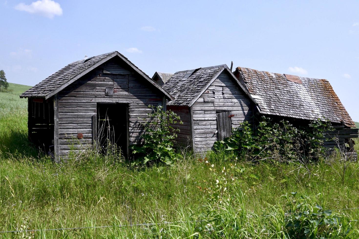 abandoned farm buildings in a field photo