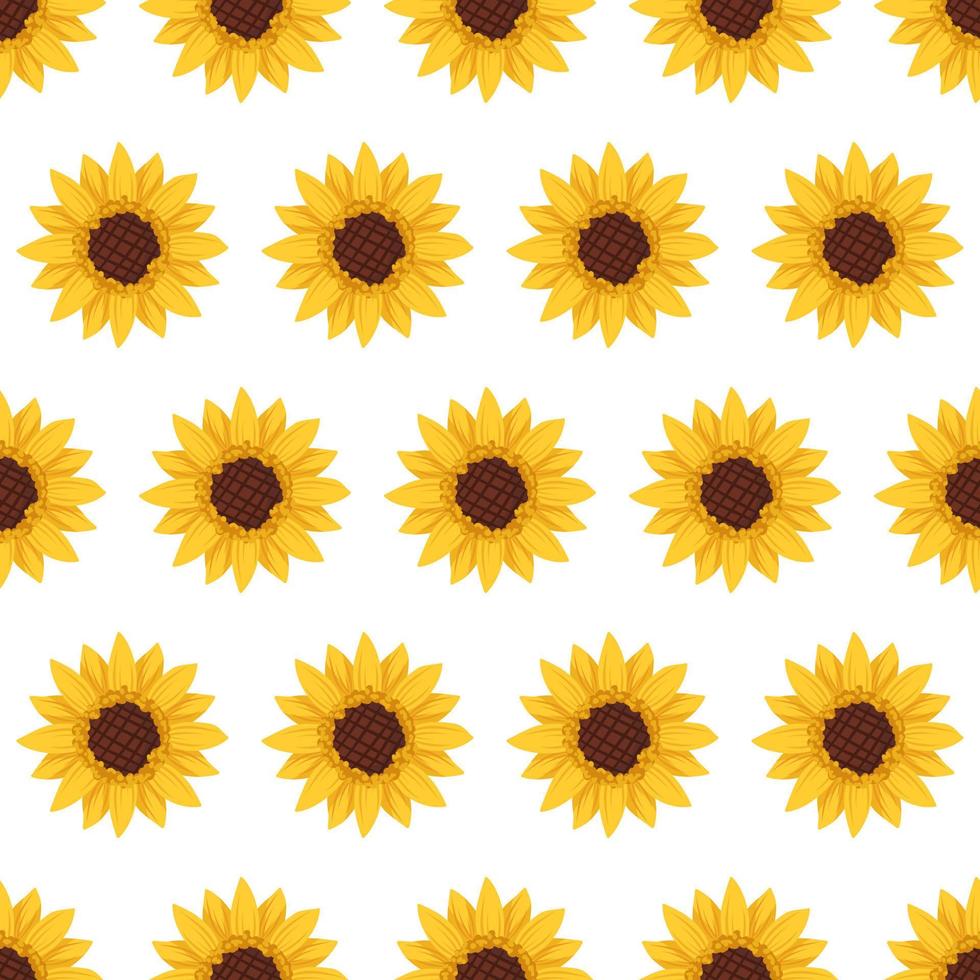 Seamless pattern with yellow sunflowers on white background. Print with element of nature, plant for decoration and design. Vector flat illustration