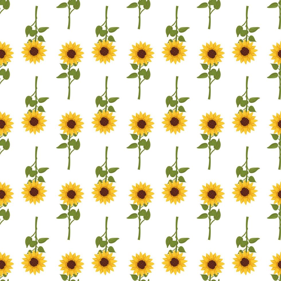 Seamless pattern with yellow sunflowers on white background. Print with element of nature, plant for decoration and design. Vector flat illustration