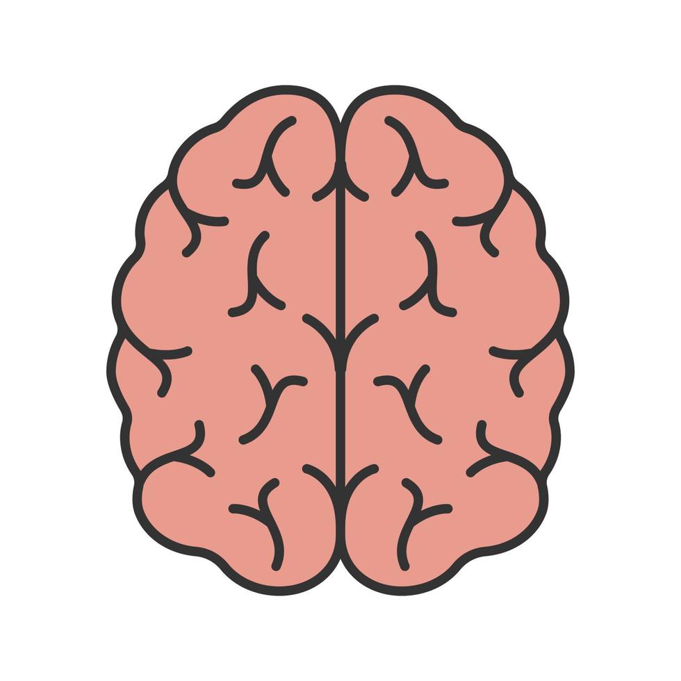 Human brain color icon. Nervous system organ. Isolated vector illustration