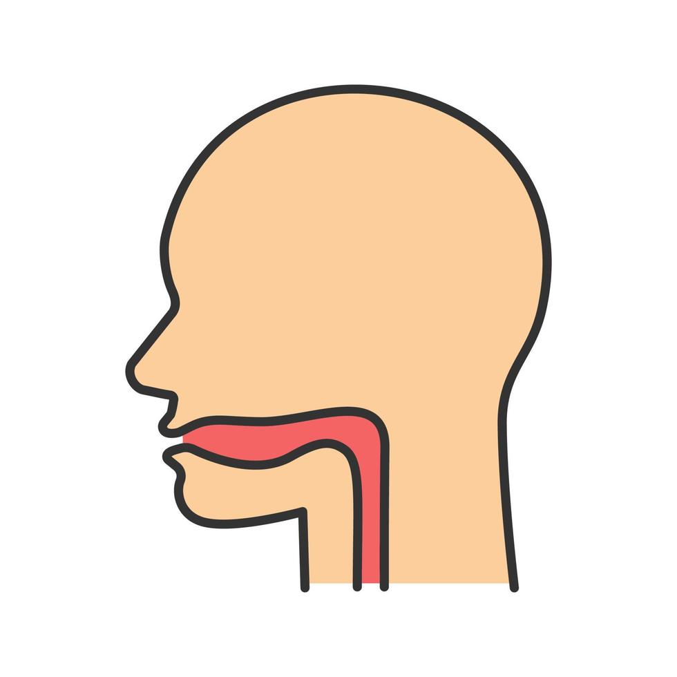 Oral cavity, pharynx and esophagus color icon. Upper section of alimentary canal. Isolated vector illustration