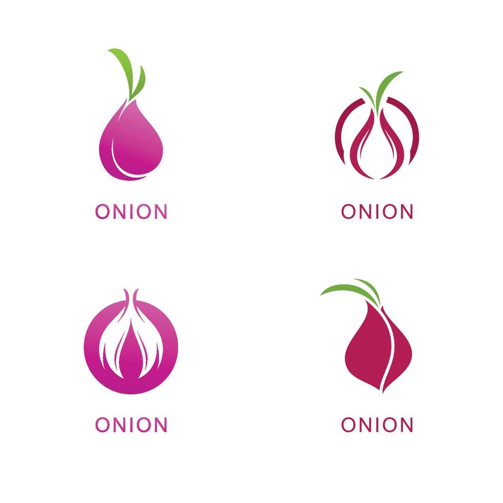 Onion logo vector , red onion icon . illustration Simple onion symbol