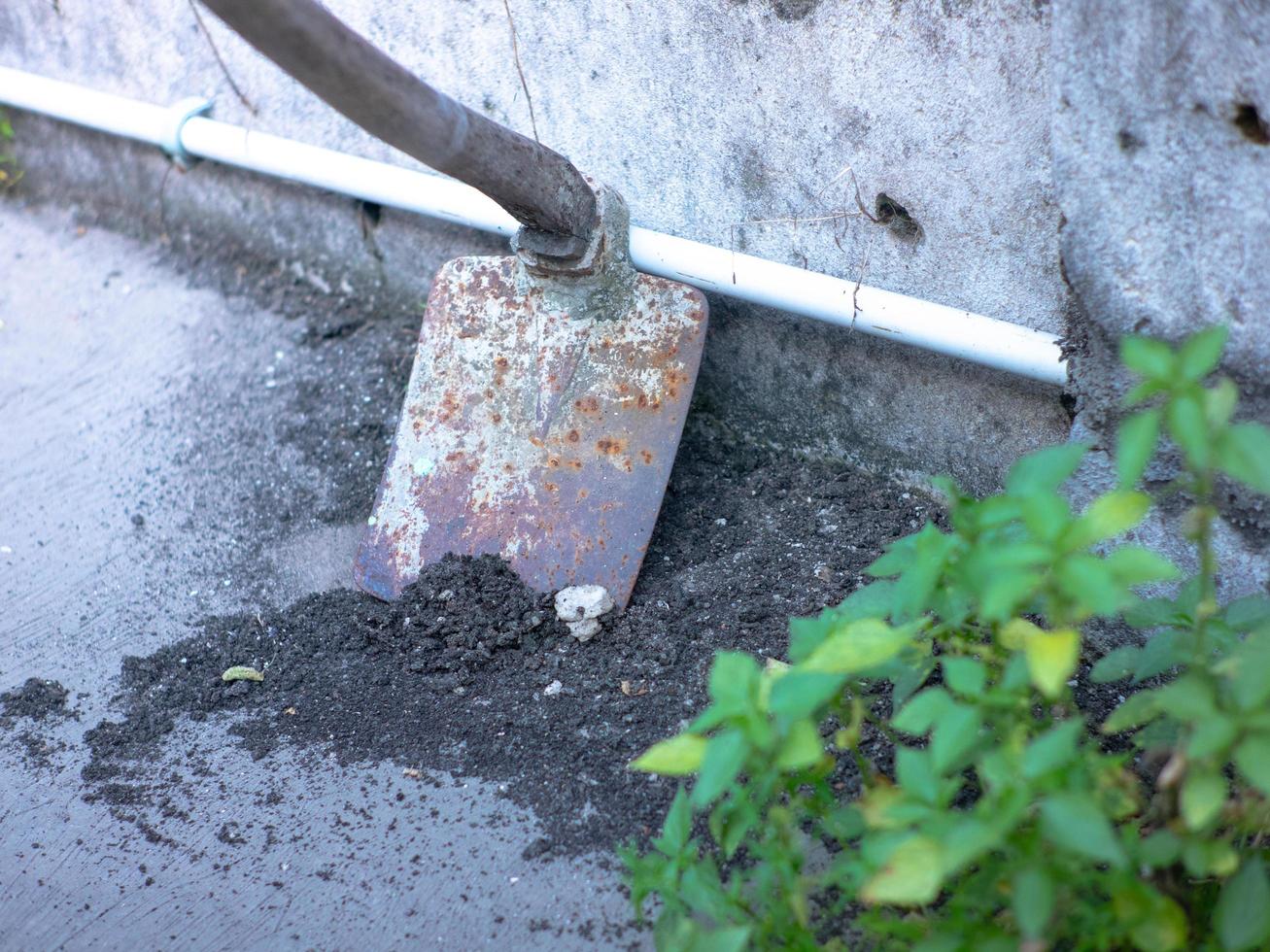 The hoe cleans the weeds growing on the wall photo