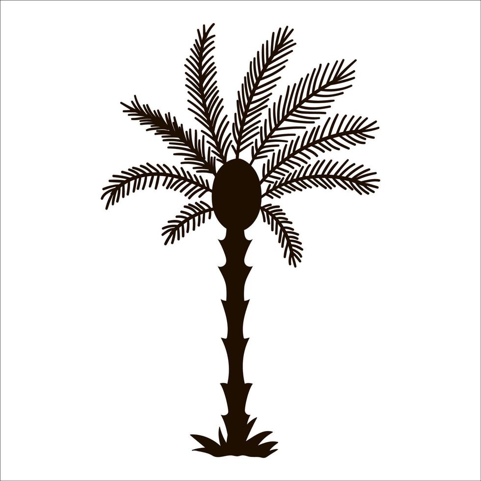 silueta de palmera tropical vectorial. icono de follaje de selva negra. planta exótica dibujada a mano aislada sobre fondo blanco. ilustración de vegetación de verano negro. vector