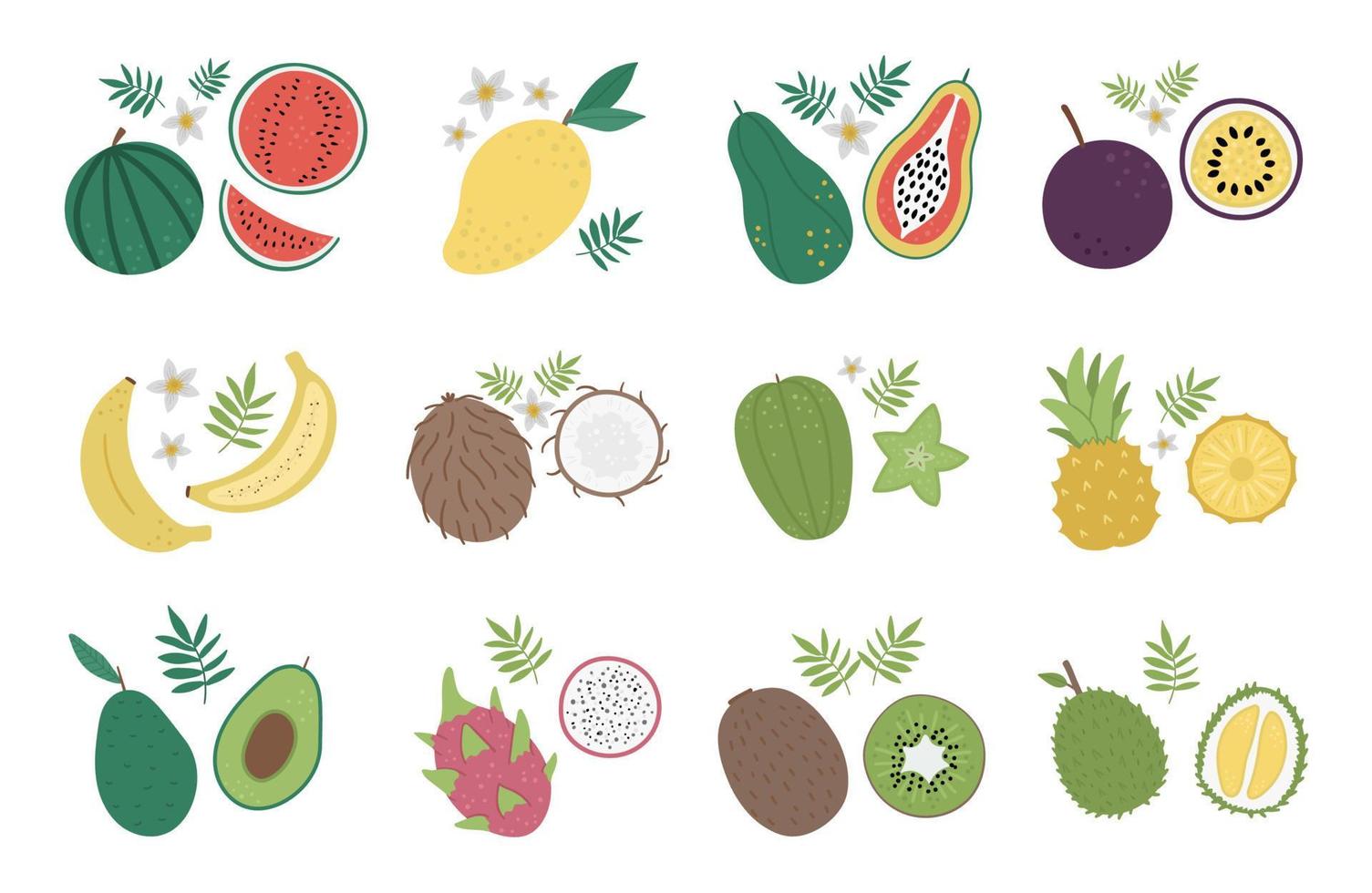 imágenes prediseñadas vectoriales de frutas tropicales y bayas. ilustración de follaje de la selva. plantas exóticas planas dibujadas a mano aisladas sobre fondo blanco. brillante ilustración saludable de comida de verano. vector