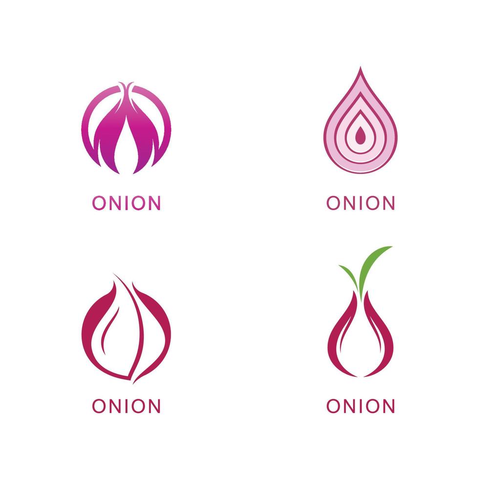 Onion logo vector , red onion icon . illustration Simple onion symbol