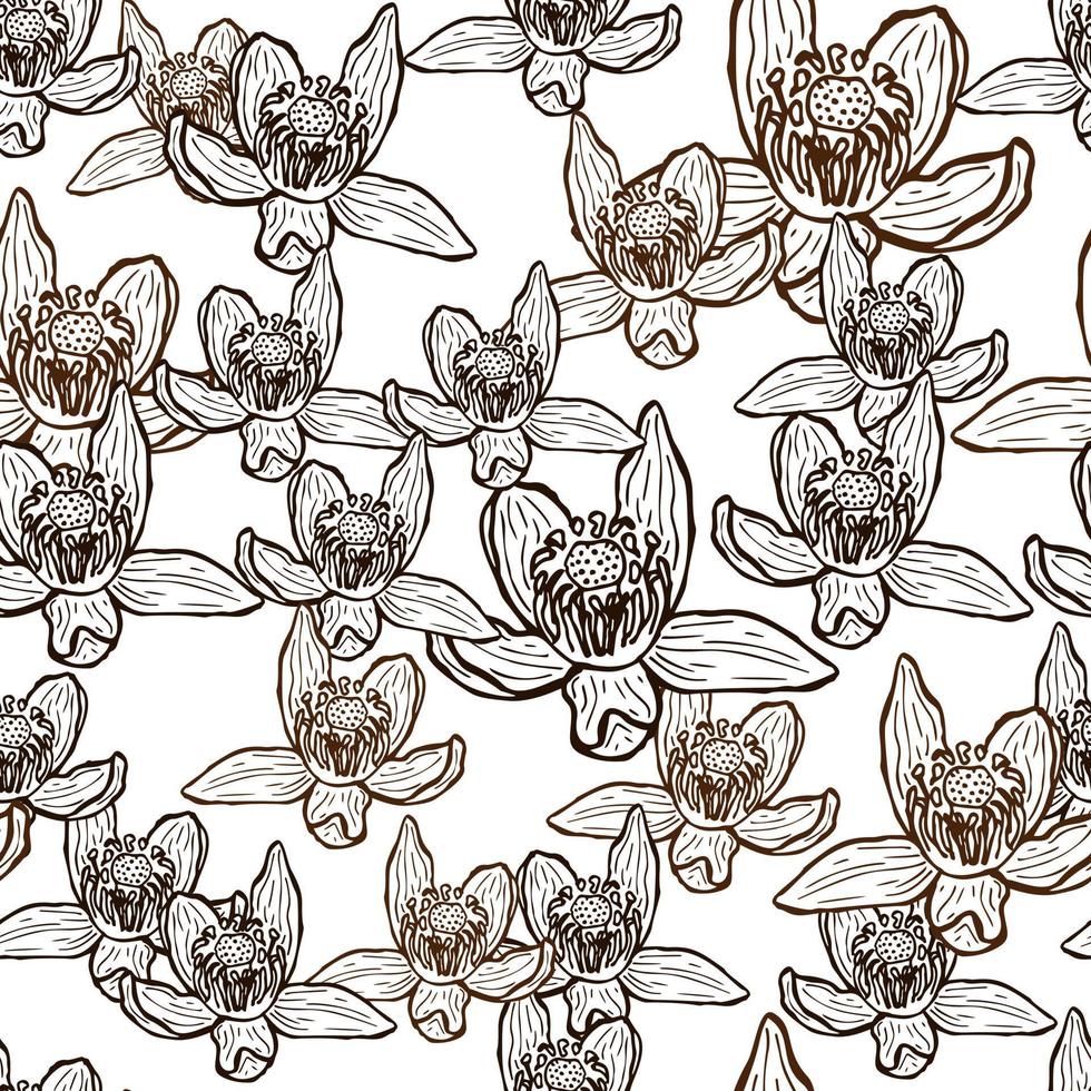 Seamless pattern engraved flower. Vintage background floral in hand drawn style. Spring flowers sketch. vector