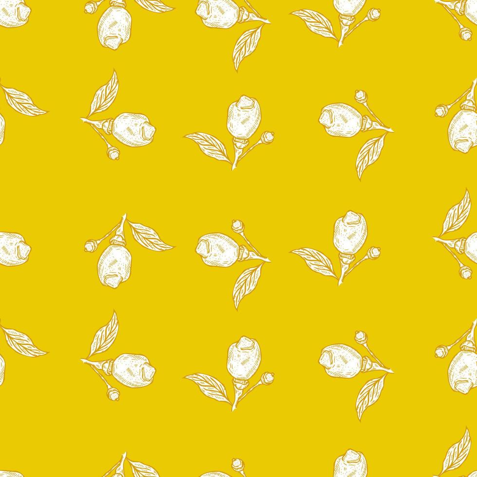 Seamless pattern engraved lemon on branch with leaves. Vintage background lime growing on twig in hand drawn style. vector