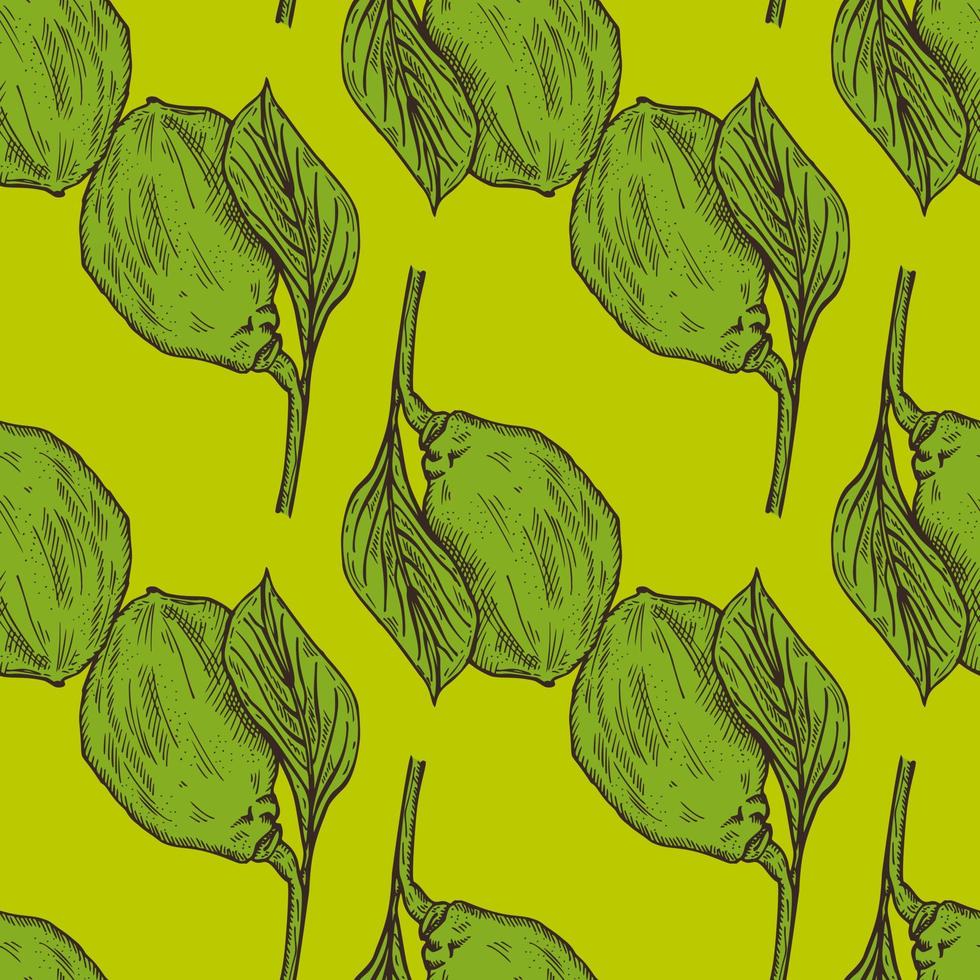 Seamless pattern engraved lemon on branch with leaves. Vintage background lime growing on twig in hand drawn style. vector