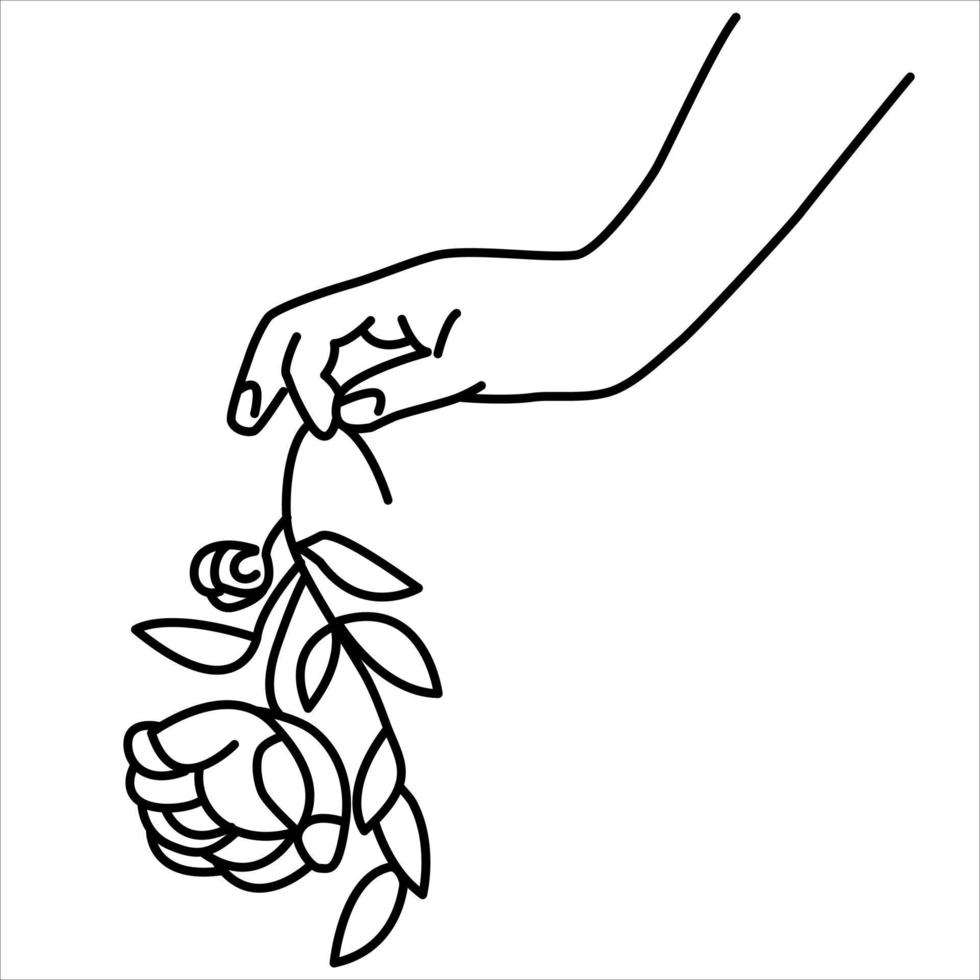 una mano, sosteniendo una rosa. simple ilustración de arte lineal de la mano de una mujer con una flor. vector