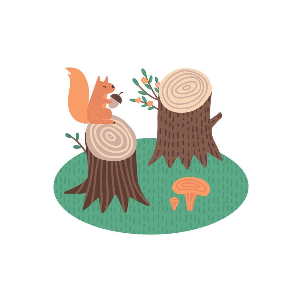 Cute squirrel on a stump with mushrooms and acorn or nut. Isolated summer forest print concept. Forest animal vector illustration. Great for nursery decor, kid posters, cards, kid textile print.