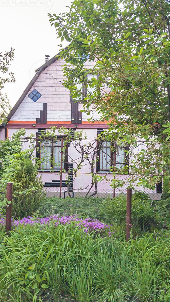 casa de campo rosa con saxifraga floreciente y enebro en el jardín delantero. foto