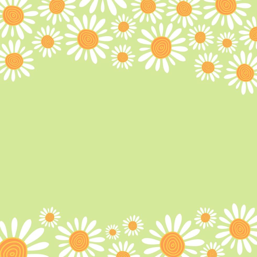 Spring Garden Daisy Floral Border vector