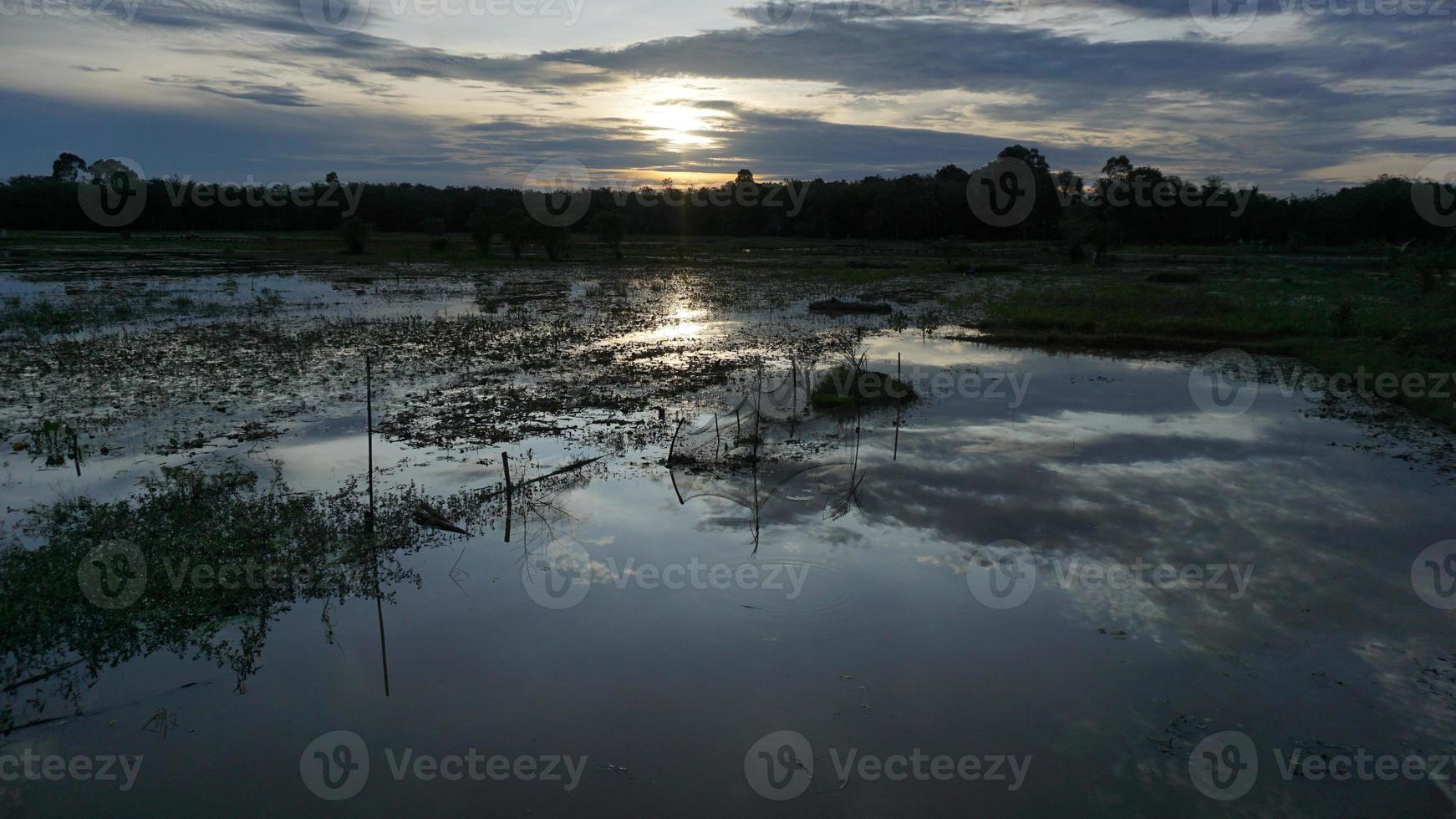 beautiful sunset view in the rice field photo