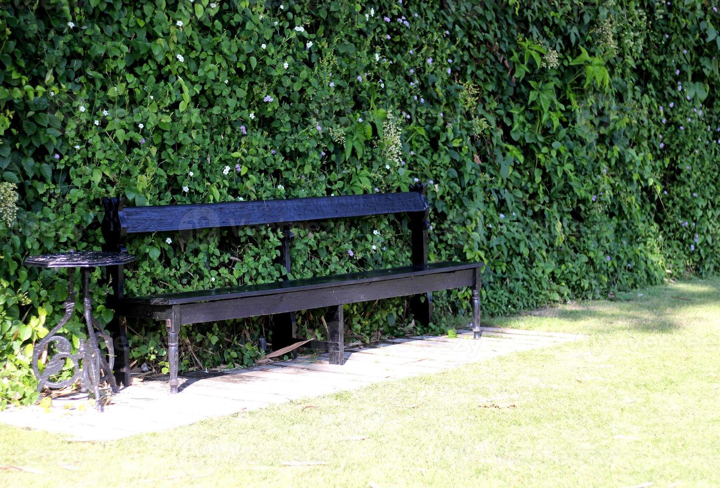 Black bench in the garden photo